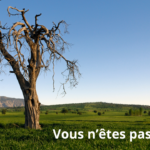 Peur de la mort? vous n'êtes pas seul...!