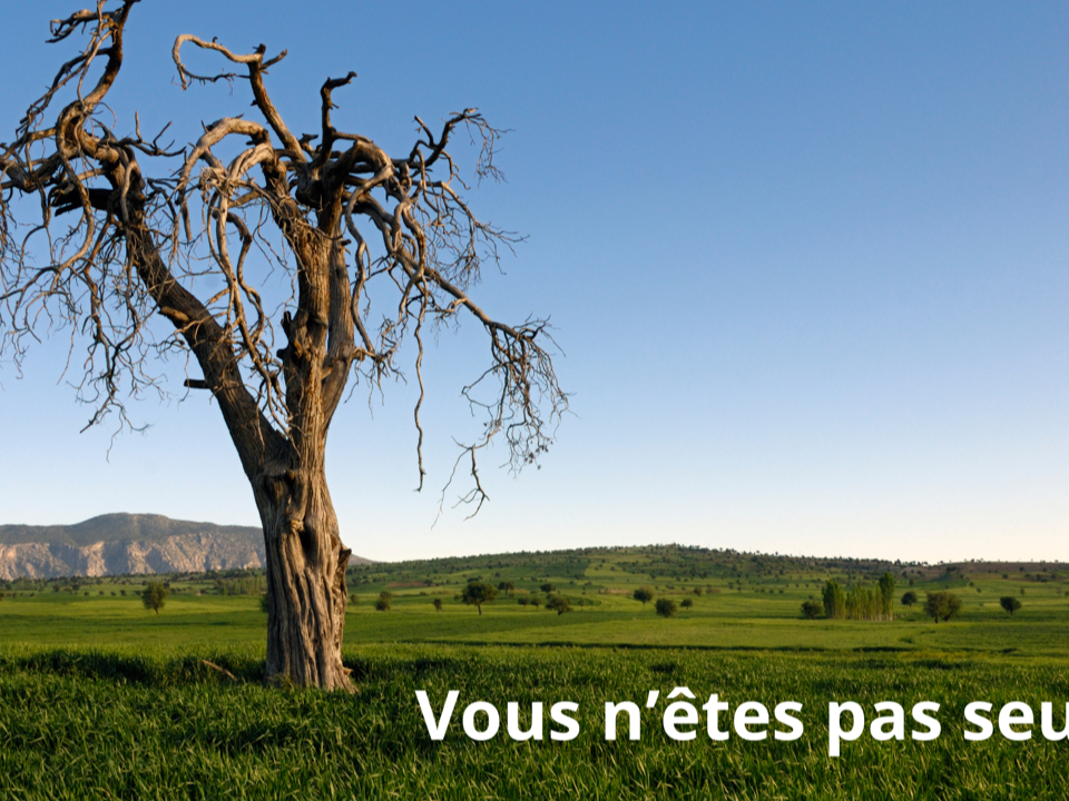 Peur de la mort? vous n'êtes pas seul...!