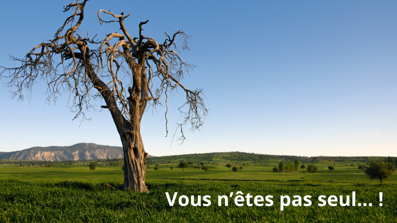 Peur de la mort? vous n'êtes pas seul...!